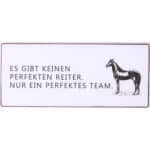 Es gibt keinen perfekten Reiter, nur ein perfektes Team. (ALT Tag).