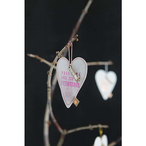 Herzanhänger mit Liebesbotschaft an einem Zweig, romantische Dekoration, Valentinstag, Liebe, Gesche.