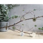 Dekorative Zweig mit handgemachten Weihnachtsornamenten und grünen Pflanzen.