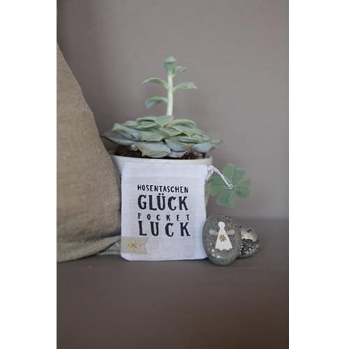 Glückssackerl mit Sukkulente und Glückssymbolen, dekoratives Geschenk, Glücksbringer, Dekoidee, Feng.