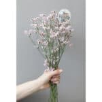 Blumenstrauß mit Geburtstagskarte, pinke Blumen, Geschenkidee, Fokko 1883, Feier, Dekoration, Geburt.
