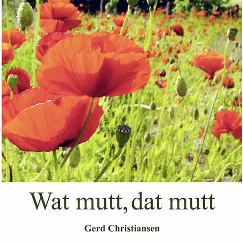 Blumenwiese mit Mohnblumen in leuchtendem Rot, grünem Gras und blühenden Pflanzen, sonniges Naturbil.