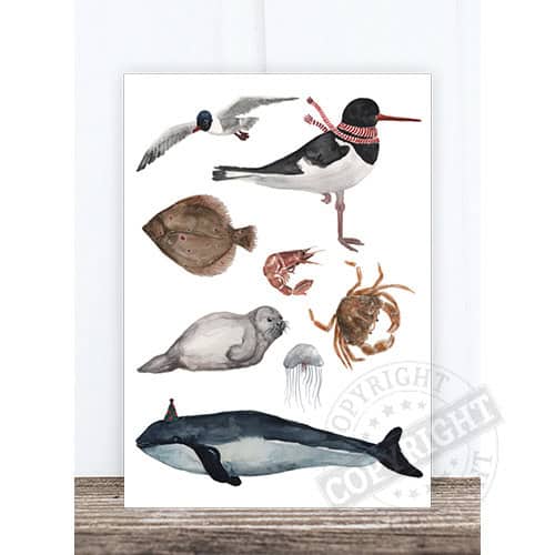 Schwimmende Meeres- und Vogelarten, Illustration mit verschiedenen Tieren.