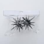 Schwarze, spitze Dekorationen in Plastiktüte, ideal für festliche Anlässe und Partys.