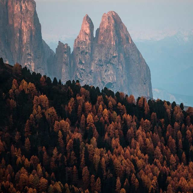Majestätische Berggipfel im Nebel über buntem Herbstwald in den Dolomiten.