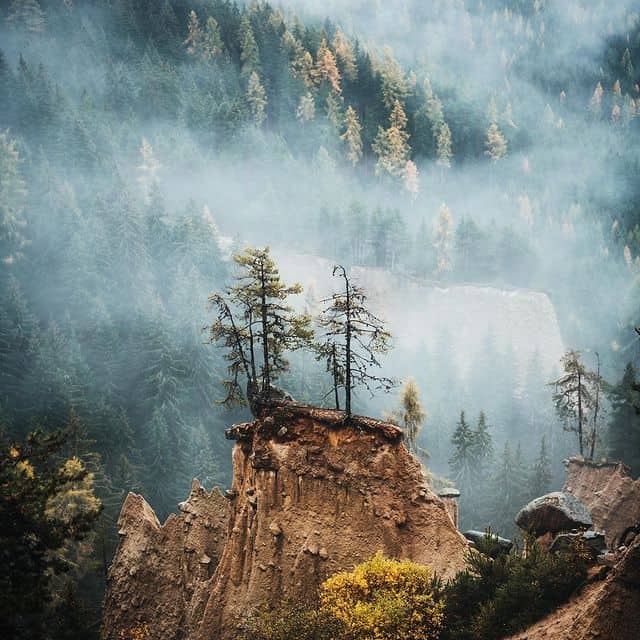 Naturaufnahme eines nebligen Waldes mit Felsen und Tannenbäumen.