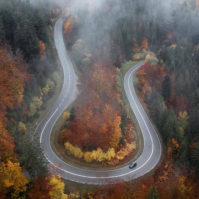 Malerische kurvige Straße im herbstlichen Wald mit Nebel und buntem Laub.