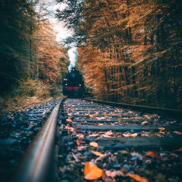 Zug im herbstlichen Wald mit bunten Blättern, Natur, Bahn, Herbstfarben, Fokko 1883.