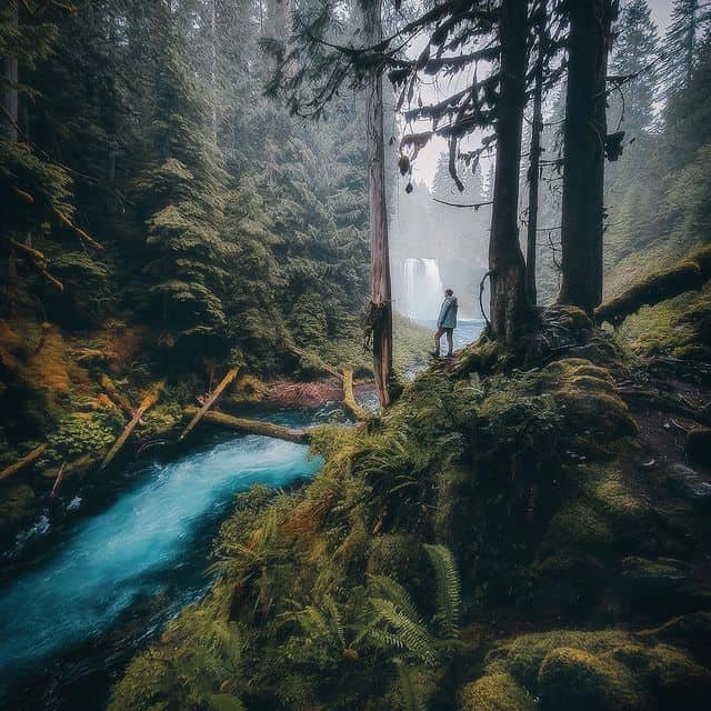Wanderer vor Wasserfall im dichten, grünen Wald mit Fluss und Moos.