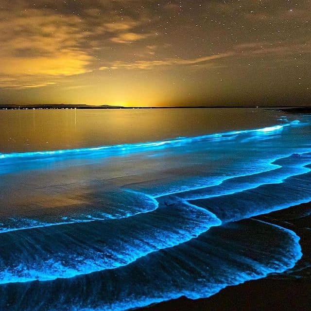 Leuchtende Wellen bei Nacht mit biolumineszenten Effekten.