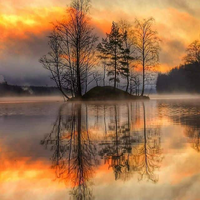 Naturaufnahme eines Sees mit Bäumen bei Sonnenaufgang, ruhiges Wasser spiegelt die Landschaft wider.
