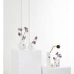 Blumenvasen mit Lavendel und Gänseblümchen auf weißen Podesten, minimalistische Dekoration.
