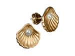 Ohrringe mit Muschelmotiv und Perlen, goldfarben, elegant.