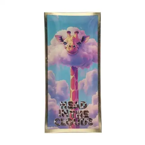 Bunter Giraffenkopf auf Wolkenhintergrund mit Text 'Head in the Clouds'.