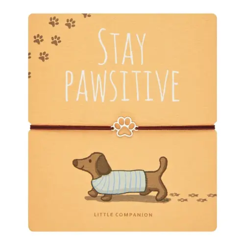 Niedliche Hundemotiv-Armbänder mit Spruch "Stay Pawsitive" für Tierliebhaber.