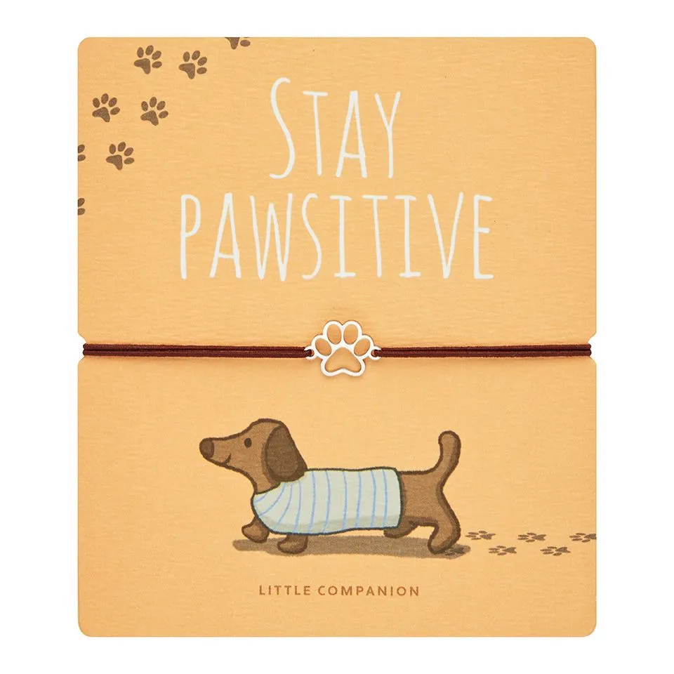 Dackelarmband Produktbild Niedliche Hundemotiv-Armbänder mit Spruch "Stay Pawsitive" für Tierliebhaber.